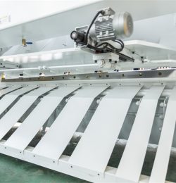 Pneumatic Back Support